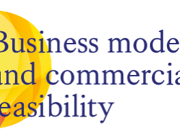 Business modelling and commercial feasibility