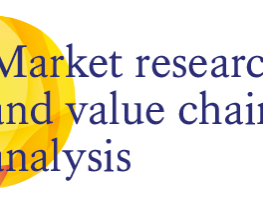 Market research and value chain analysis